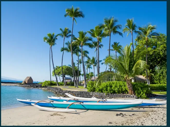 Palm trees and a tropical beach in Hawaii