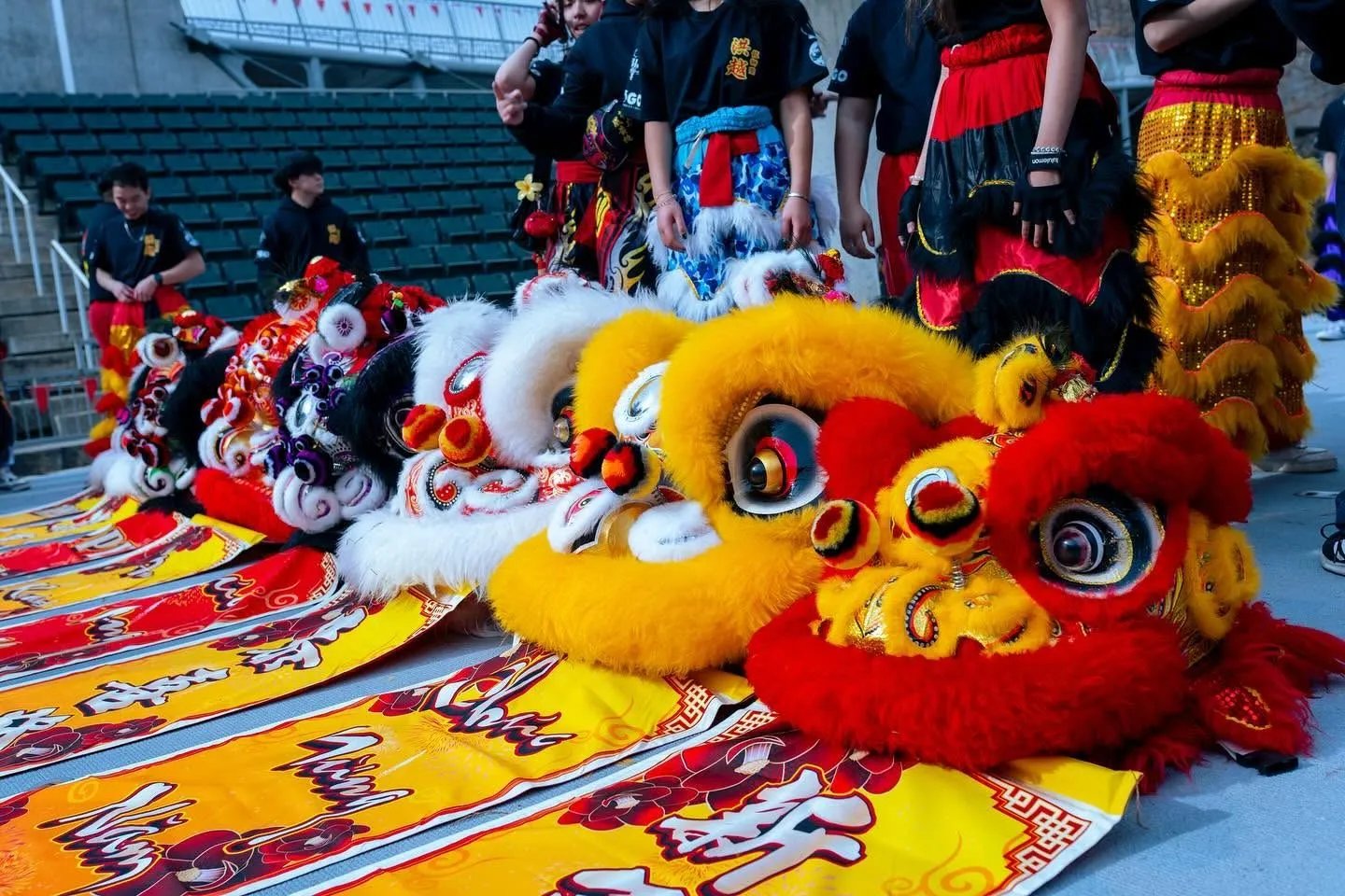 Colorful lion dance troupe gathered before a performance